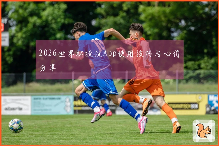2026世界杯投注App使用技巧与心得分享