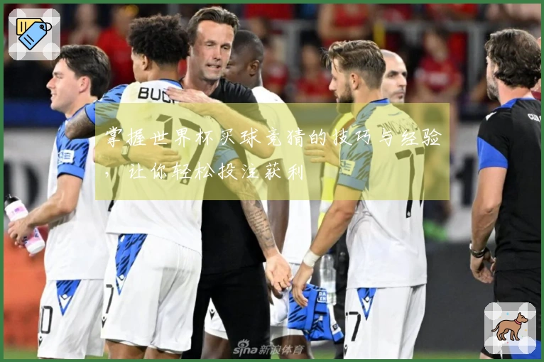 掌握世界杯买球竞猜的技巧与经验，让你轻松投注获利